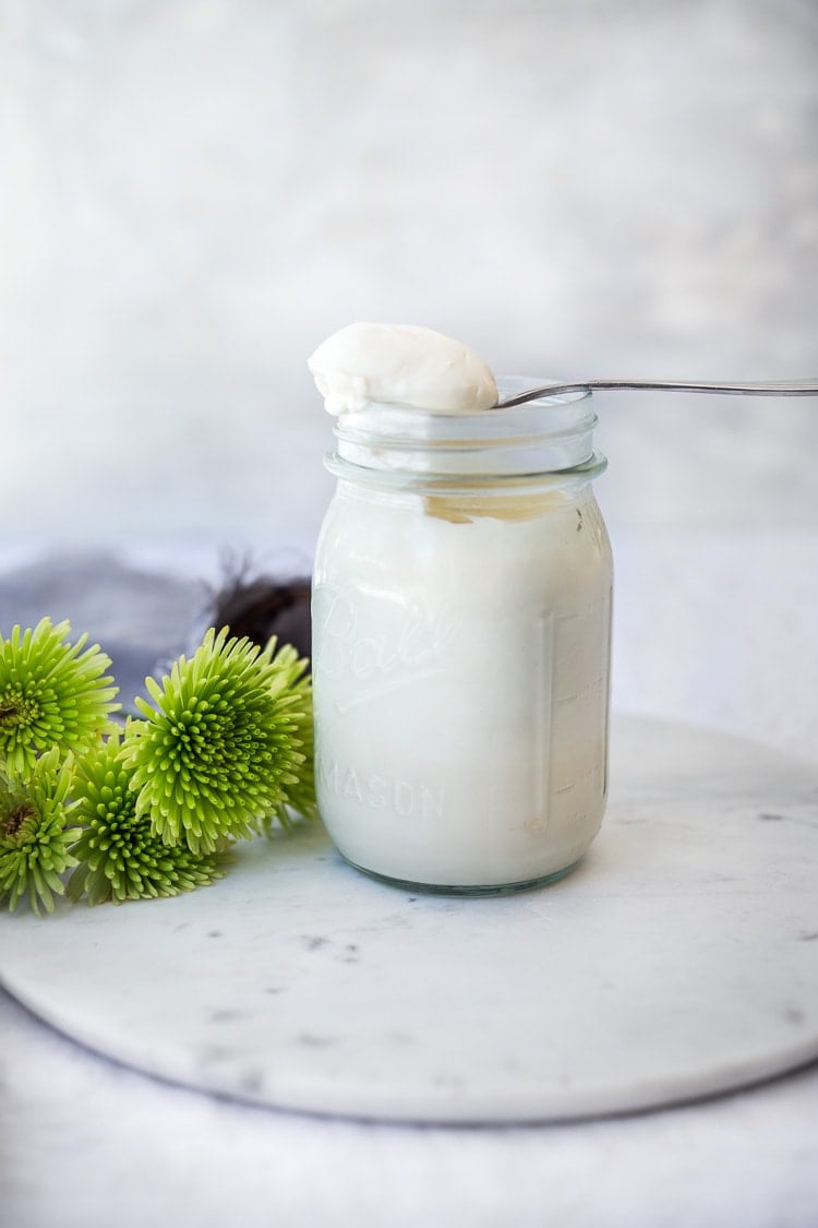 Creamy Vegan Mayo! A fast and easy, low-fat recipe for homemade vegan mayonnaise (like Veganaise)! Healthy, easy and flavorful! #veganmayo #vegan #mayo #healthymayo #tofu #cleaneating #plantbased #eatclean 