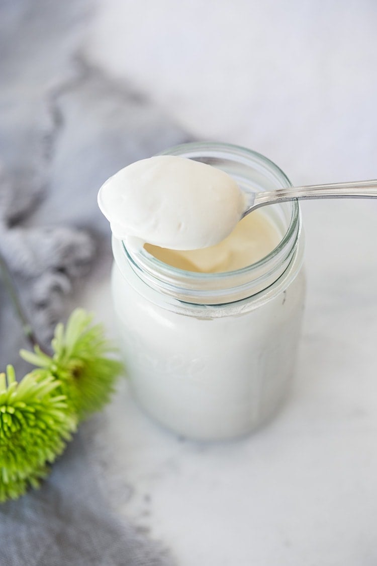 Creamy Vegan Mayo! A fast and easy, low-fat recipe for homemade vegan mayonnaise (like Veganaise)! Healthy, easy and flavorful! #veganmayo #vegan #mayo #healthymayo #tofu #cleaneating #plantbased #eatclean 