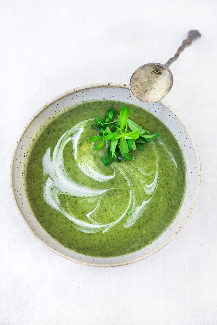  Nettle Soup Recipe with Tarragon - a simple easy recipe, full of incredible health benefits and lovely flavor. A Scandinavian specialty to be enjoyed in late spring and early summer when nettles are aplenty. Vegan Adaptable! #nettles #nettlesoup #nettlesouprecipe #vegan #tarragon #healthysoup #springsoup #stingingnettle