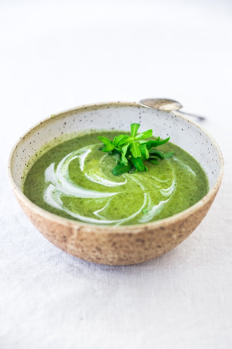 Nettle Soup Recipe with Tarragon - a simple easy recipe, full of incredible health benefits and lovely flavor. A Scandinavian specialty to be enjoyed in late spring and early summer when nettles are aplenty. Vegan Adaptable! #nettles #nettlesoup #nettlesouprecipe #vegan #tarragon #healthysoup #springsoup #stingingnettle