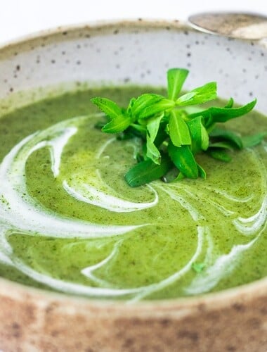 Vibrant, luscious Nettle Soup with Tarragon - a simple easy recipe, full of incredible health benefits and lovely flavor. A Scandinavian specialty to be enjoyed in late spring and early summer when nettles are aplenty. Vegan Adaptable! #nettles #nettlesoup #nettlesouprecipe #vegan #tarragon #healthysoup #springsoup #stingingnettle
