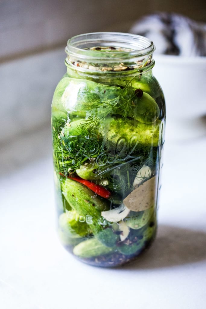 Fermented Pickles Dill at Rolando Malone blog
