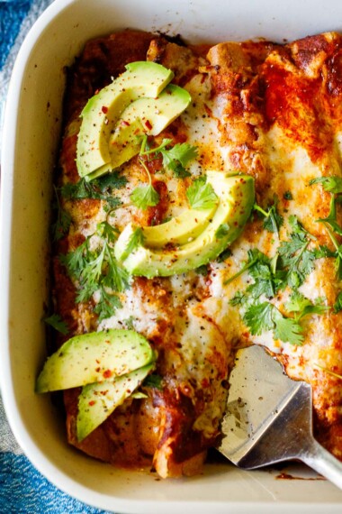 Vegetable enchiladas in a a blue baking dish