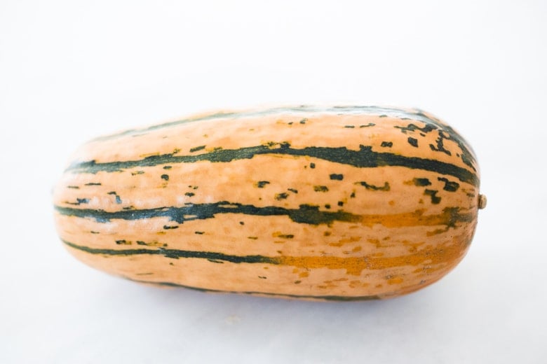 delicata squash photo