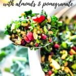 Kale Farro Salad with Almonds and Pomegranate Seeds. Think of this like a Winter Tabbouleh- lemony light and flavorful, this easy Middle Eastern-inspired salad can be made ahead, perfect for mid-week lunches. #healthykalesalad #kalesalad #vegansalad #vegankalesalad #farrosalad #tabouli #tabbouleh