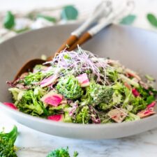Vegan Broccoli Salad with Creamy Hemp Dressing