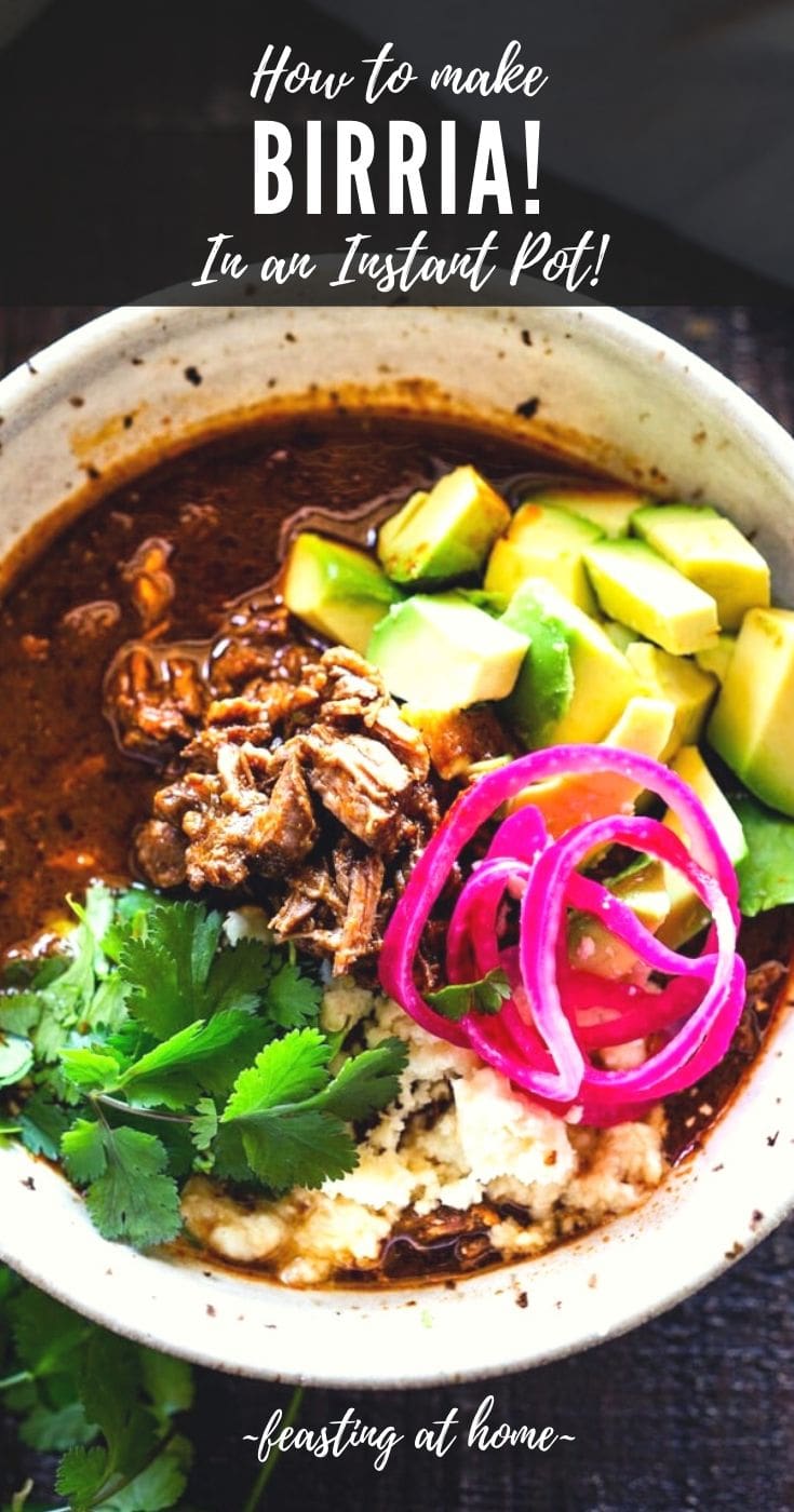 How to Make Birria (Mexican Beef Stew)!