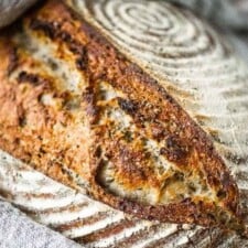 Sourdough Bread Recipe
