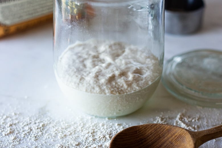 sourdough starter day one