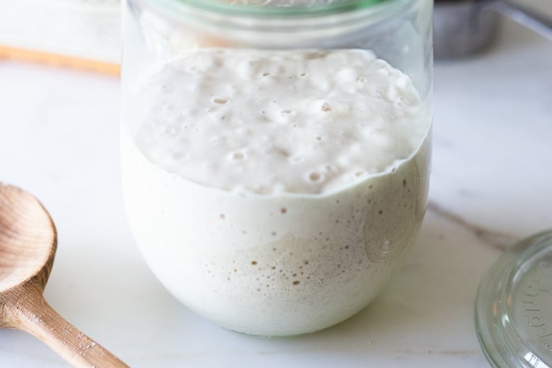 sourdough starter