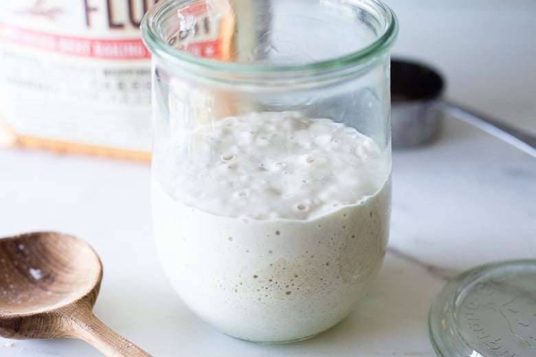 sourdough starter with slight bubbling