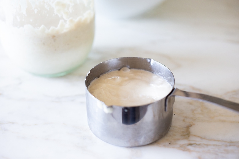 sourdough starter