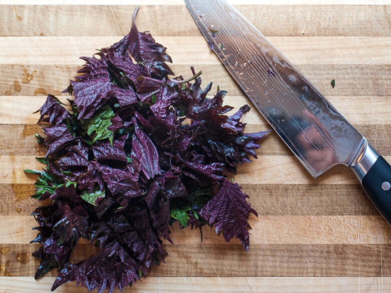 Shiso Green Chef's Knife Set