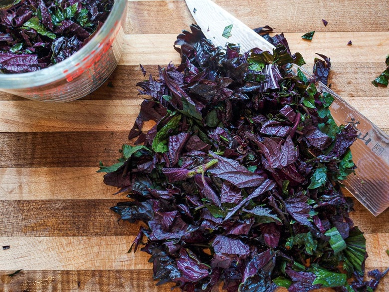 fresh shiso leaves 