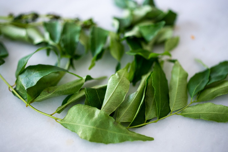fresh curry leaves 