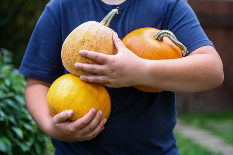 How to make homemade Pumpkin Puree from scratch- a simple easy step-by-step recipe to use in place of canned pumpkin. Learn how to roast pumpkin, puree pumpkin and store it for future use, all in about an hour! #pumpkinpuree #roastedpumpkin