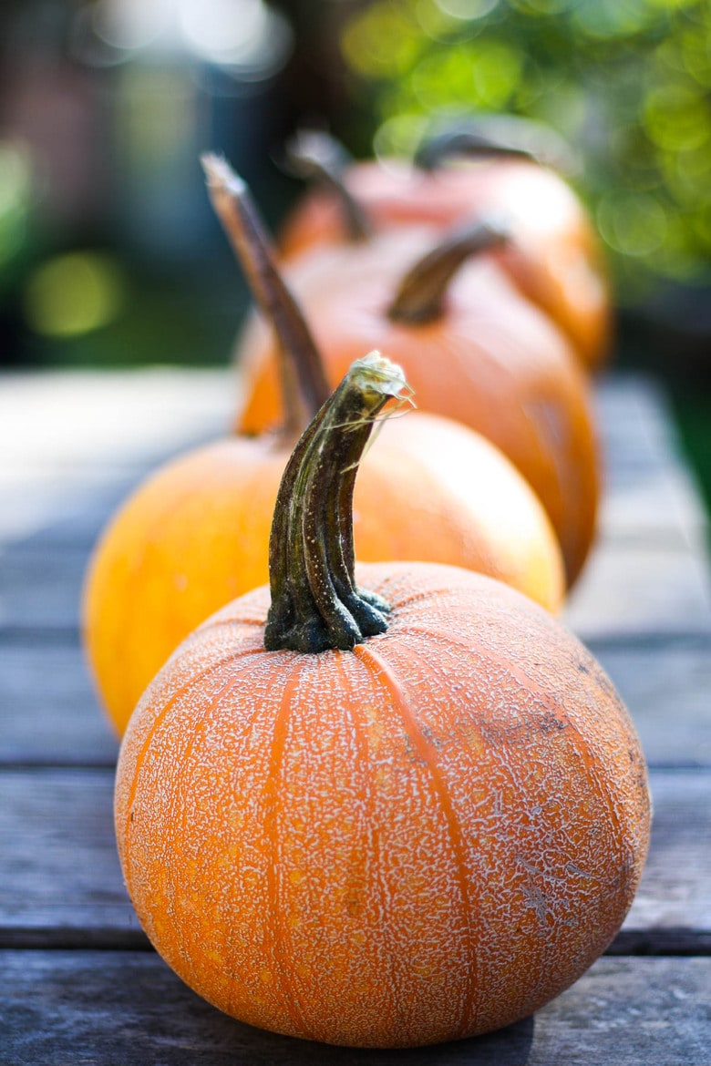 How to make homemade Pumpkin Puree from scratch- a simple easy step-by-step recipe to use in place of canned pumpkin. Learn how to roast pumpkin, puree pumpkin and store it for future use, all in about an hour! #pumpkinpuree #roastedpumpkin
