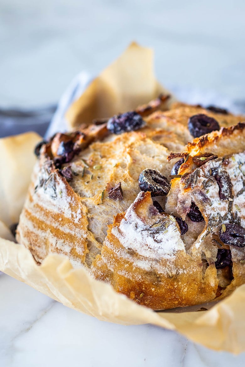 How to make Crusty Sourdough Bread, infused with rosemary, roasted garlic and olives that requires no kneading and rises overnight. Made with sourdough starter instead of yeast! #sourdoughbread