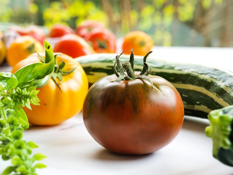 tomato zucchini gratin recipe