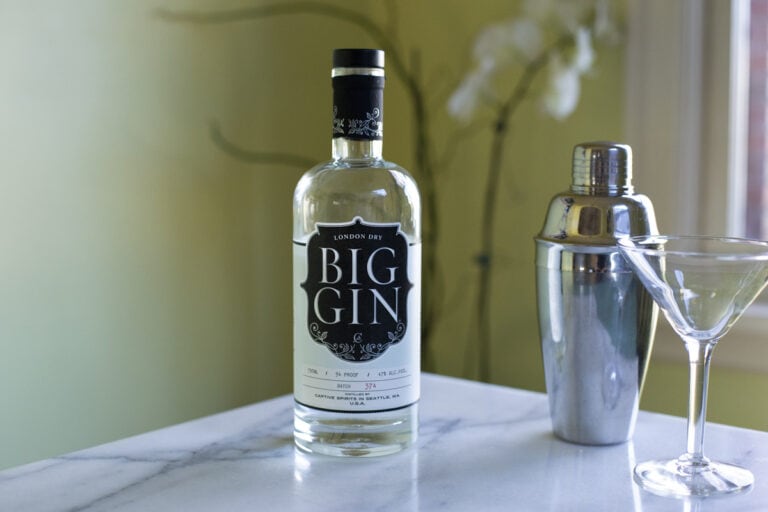 The BEST Dry Gin Martini Recipe! Feasting At Home