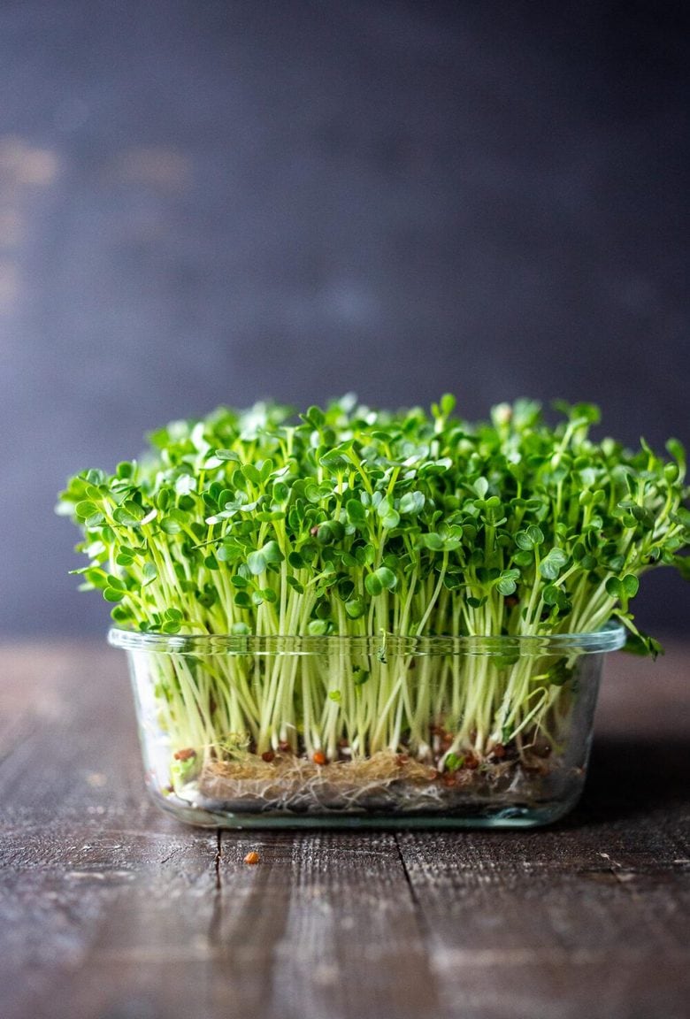 How to Grow Microgreens- an easy guide to growing your own healthy Microgreens indoors with no special equipment. Microgreens- especially broccoli seeds have tremendous health benefits! #microgreens