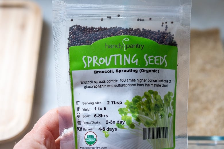 sprouting broccoli seeds have the highest nutrient levels and health benenifits 