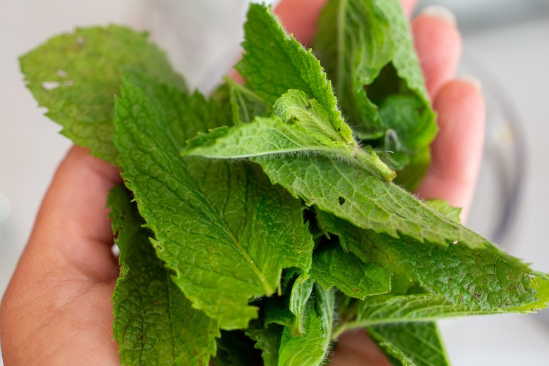 add a handful of fresh mint
