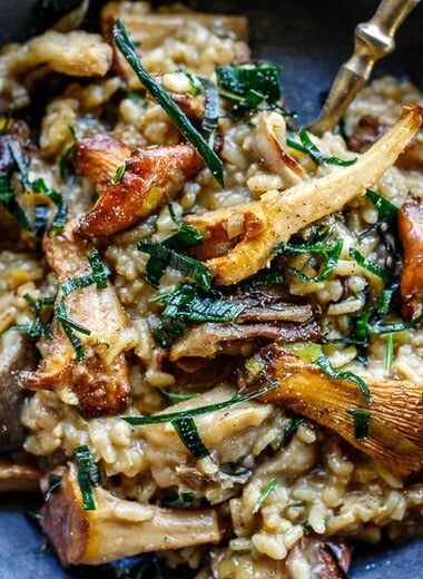 Simple authentic Mushroom Risotto with rosemary, garlic and frizzled leeks- a satisfying, elegant vegetarian dinner, perfect for special occasions, date night or entertaining. 