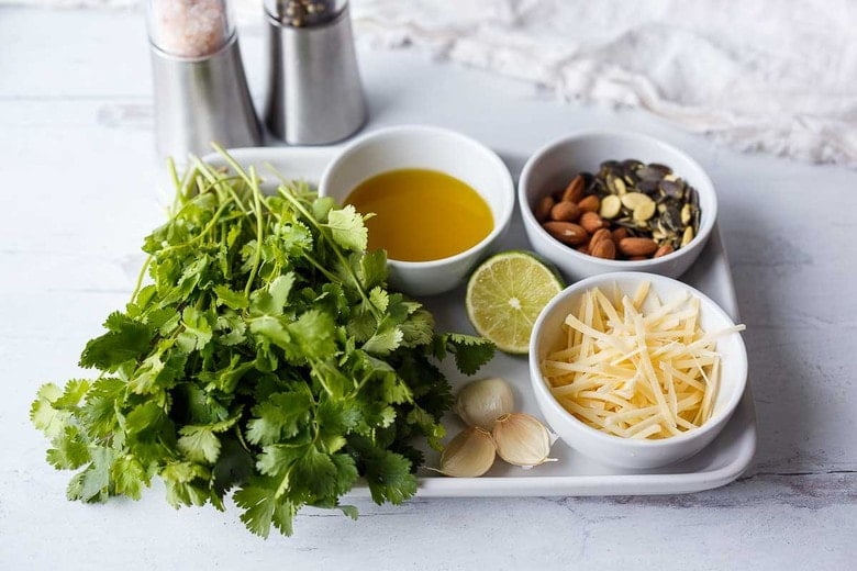 Ingredients in cilantro pesto
