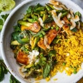 Here is a collection of our very BEST Vegan Recipes. Whether you are simply trying to eat less meat, cook more plant-based meals, consume more vibrant healthy produce, or subscribe to the vegan lifestyle, I hope these vegan meals will inspire you on your health journey, wherever that leads.  