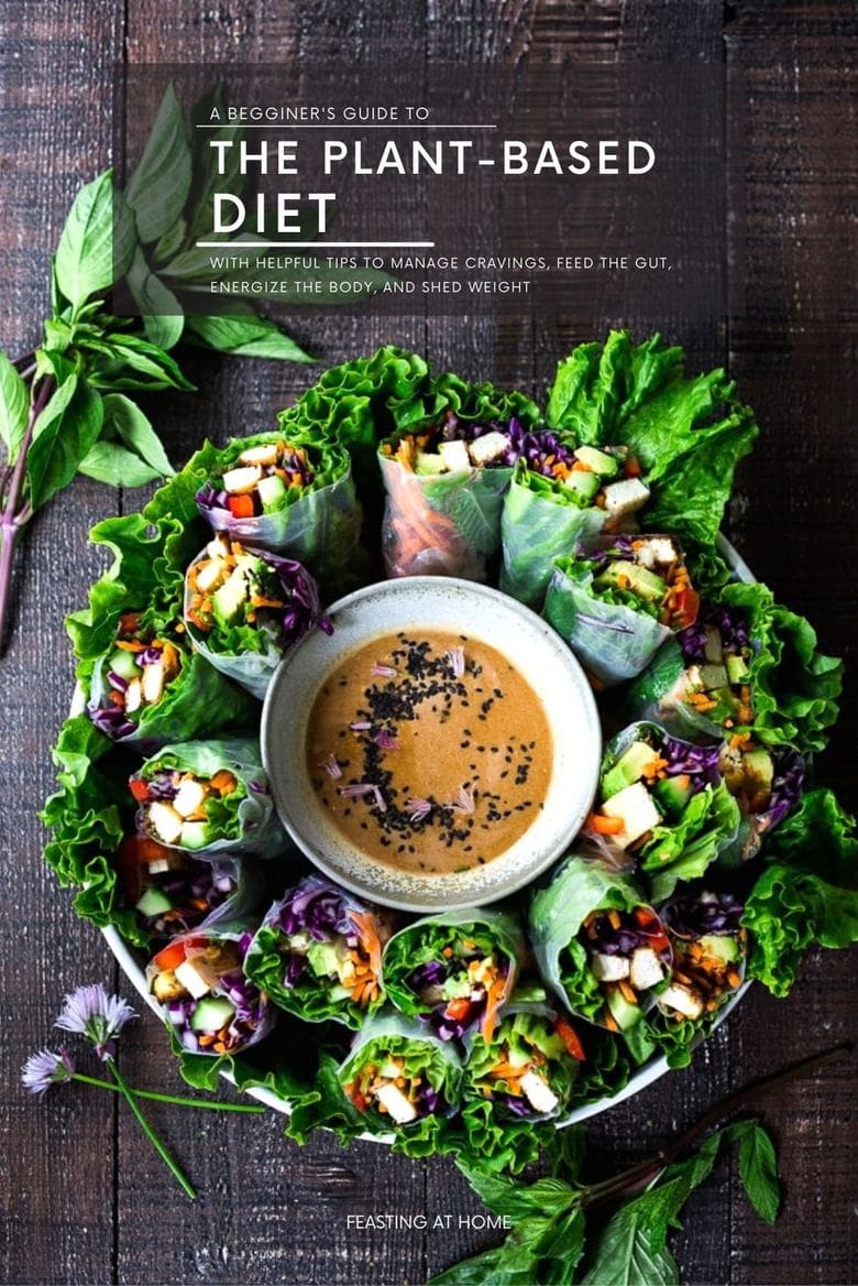 Looking to try the Plant-Based Diet? Here is a simple Beginner's Guide to the Plant-Based Diet with simple recipes and helpful tips to nourish the body, restore balance, reset cravings, rev up the metabolism, and shed unwanted weight. Yours FREE when you subscribe to the blog! 