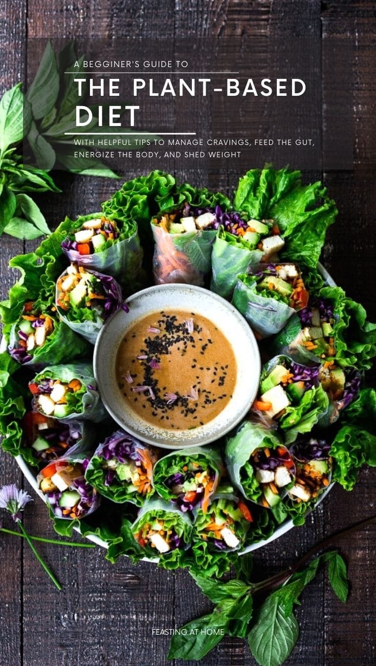Plant-Based Diet