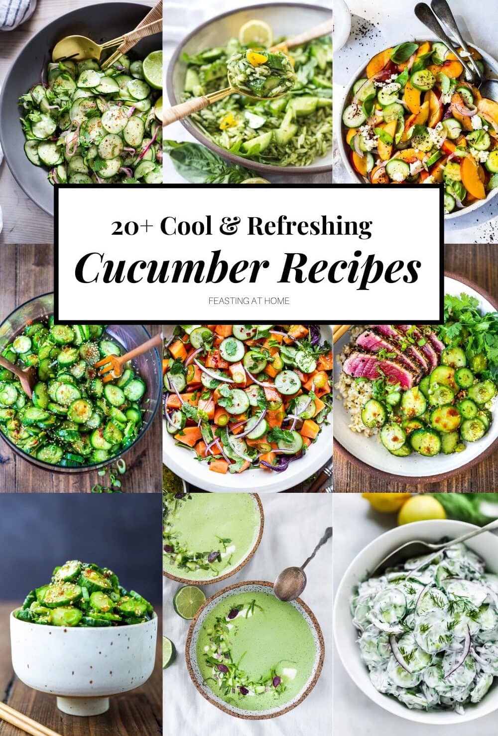 Here is a collection of our favorite Cucumber Recipes to try this summer! Crisp, cooling and refreshing cucumbers are low in calories and delicious in many things! 