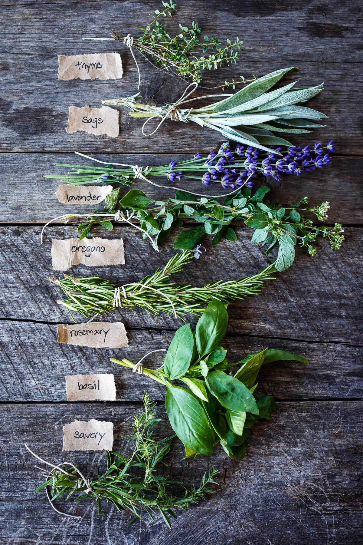 Herbs de Provence (Make your own) - Mediterranean Living