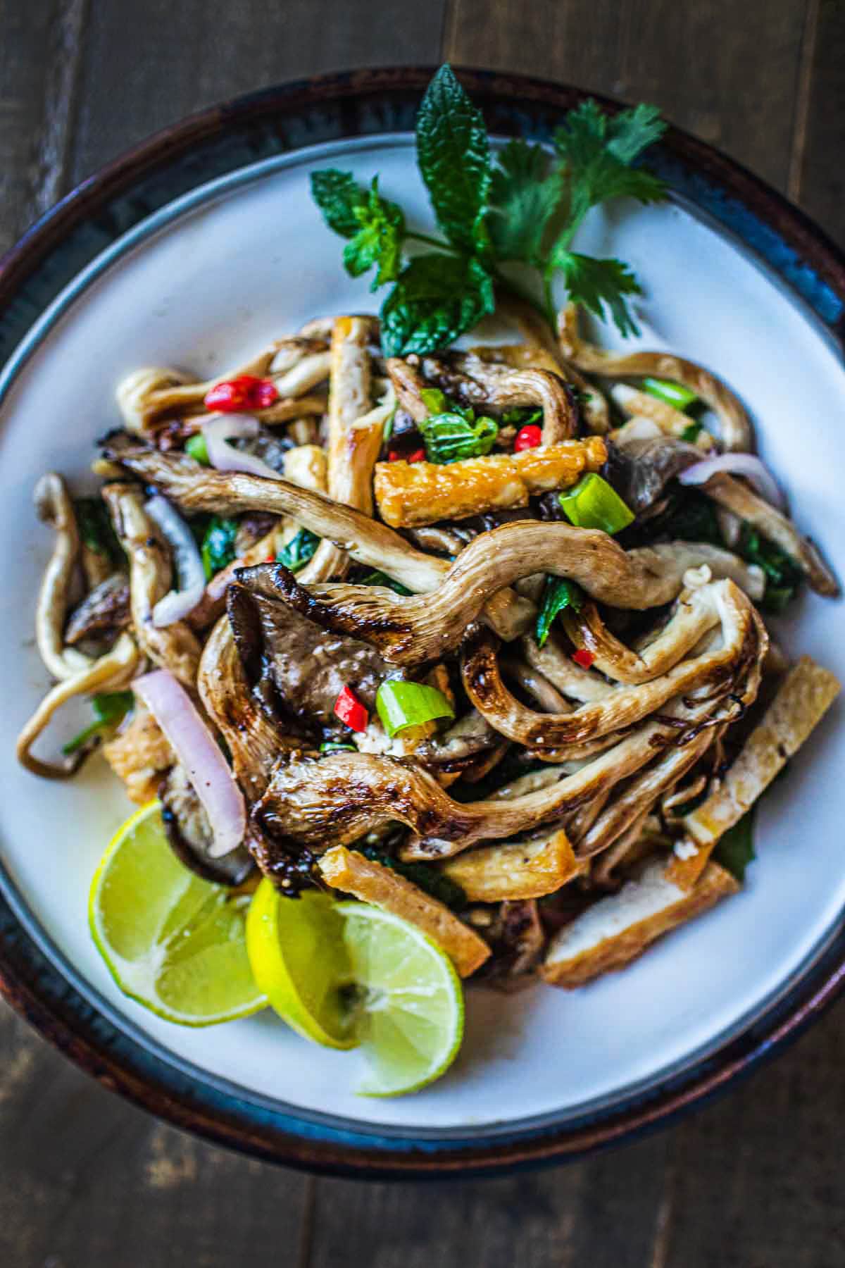 Thai Oyster Mushroom Salad with Tofu is a simple, delicious recipe infused with fresh Thai flavors- lemongrass, shallot, mint, cilantro, and fresh lime juice. A light and healthy meal-all in one dish! 