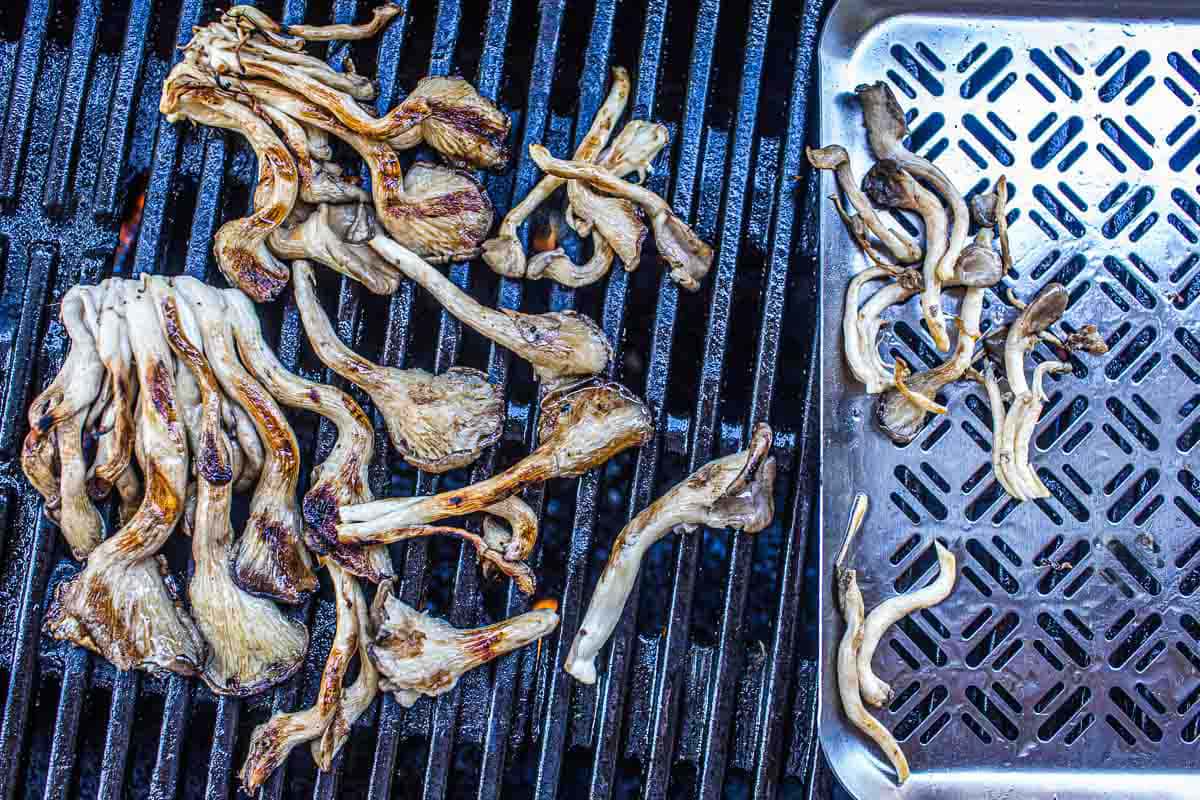 oyster mushroom on a grill