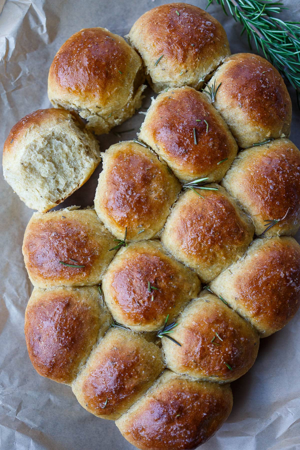 Golden, tender, pull-apart Butternut Squash Dinner Rolls are flecked with rosemary and completely irresistible.