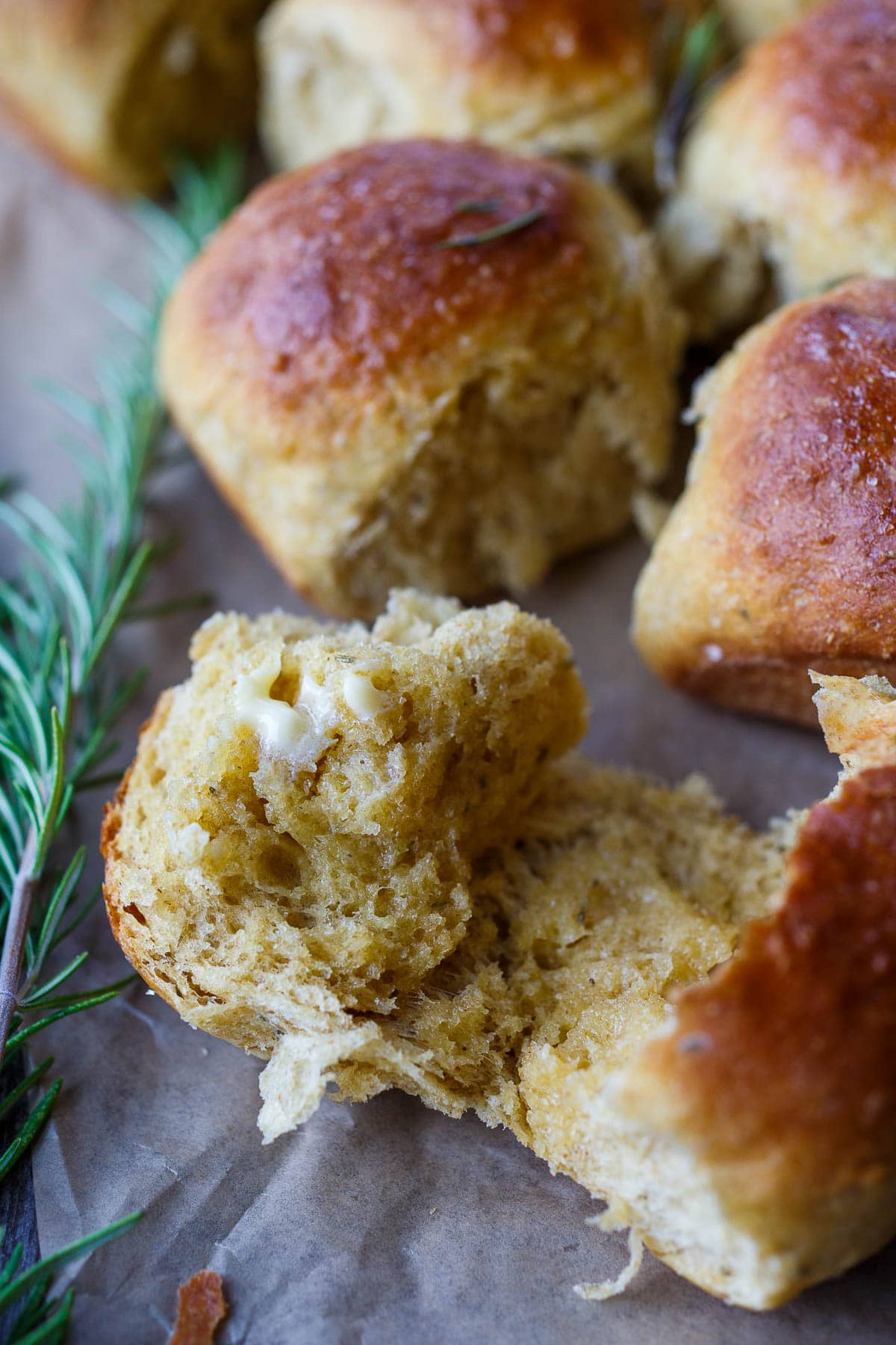 Golden, tender, pull-apart Butternut Squash Dinner Rolls are flecked with rosemary and completely irresistible.