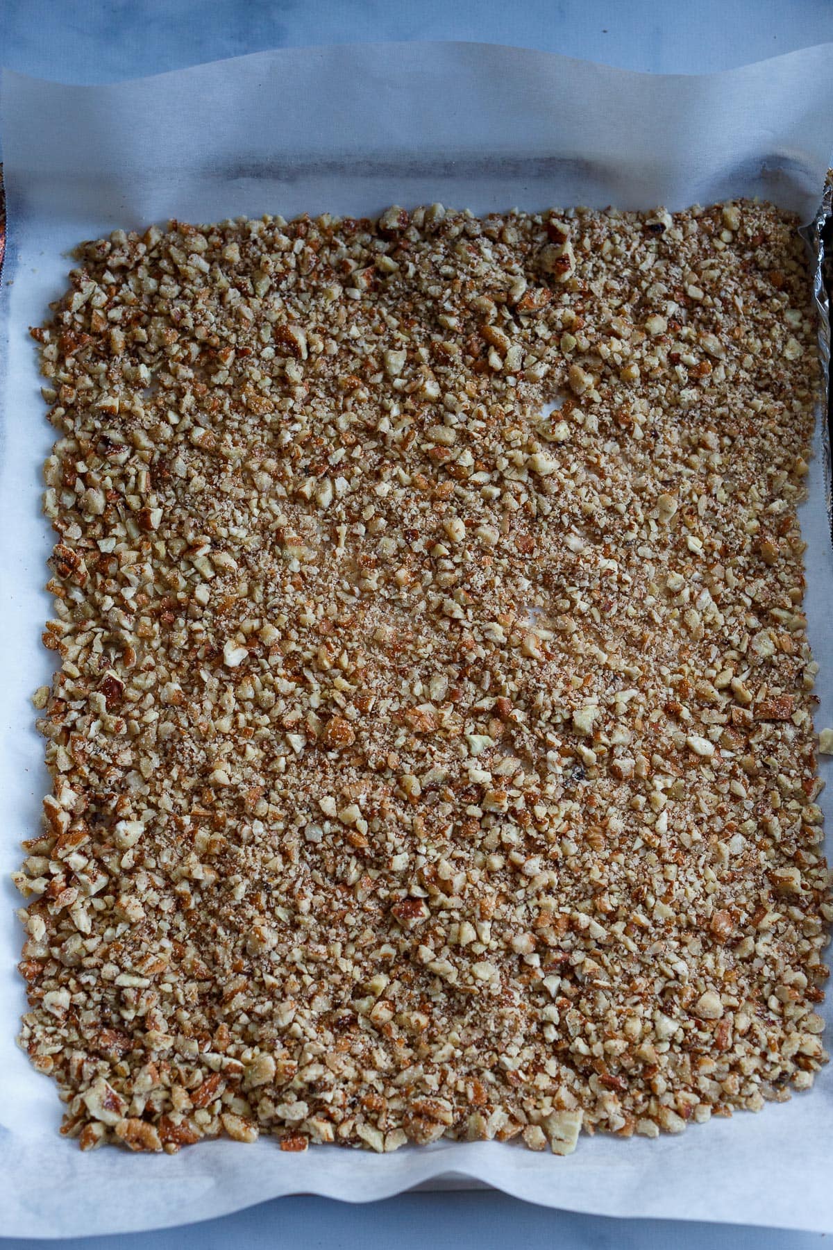 Chopped pecans spread out on a roasting pan.