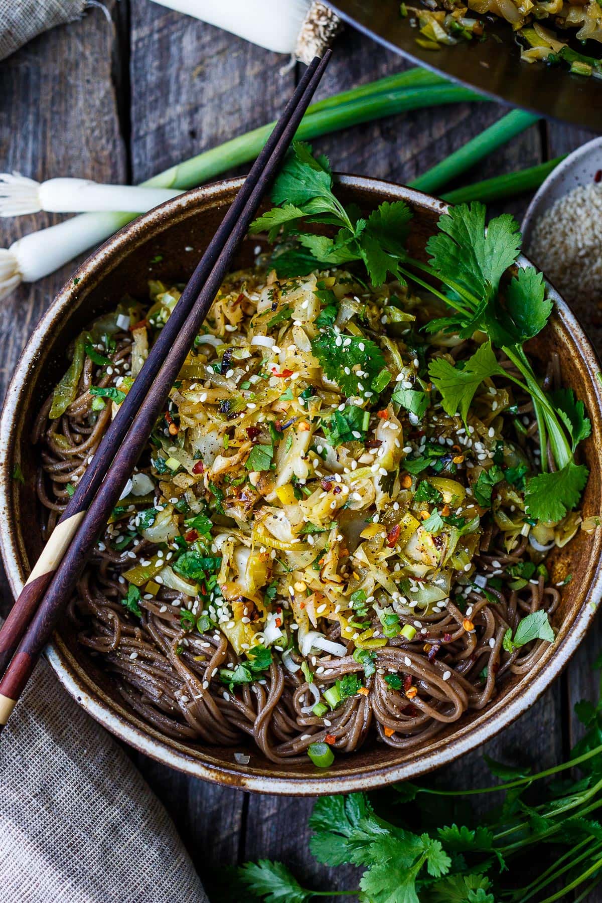 This quick and simple Cabbage Stir Fry is humble yet overflowing with savory flavor. Full of amazing health benefits, cabbage takes center stage here transforming into a luscious side dish or perfect topping for rice or buckwheat soba noodles. Ready to serve in about 30 minutes!