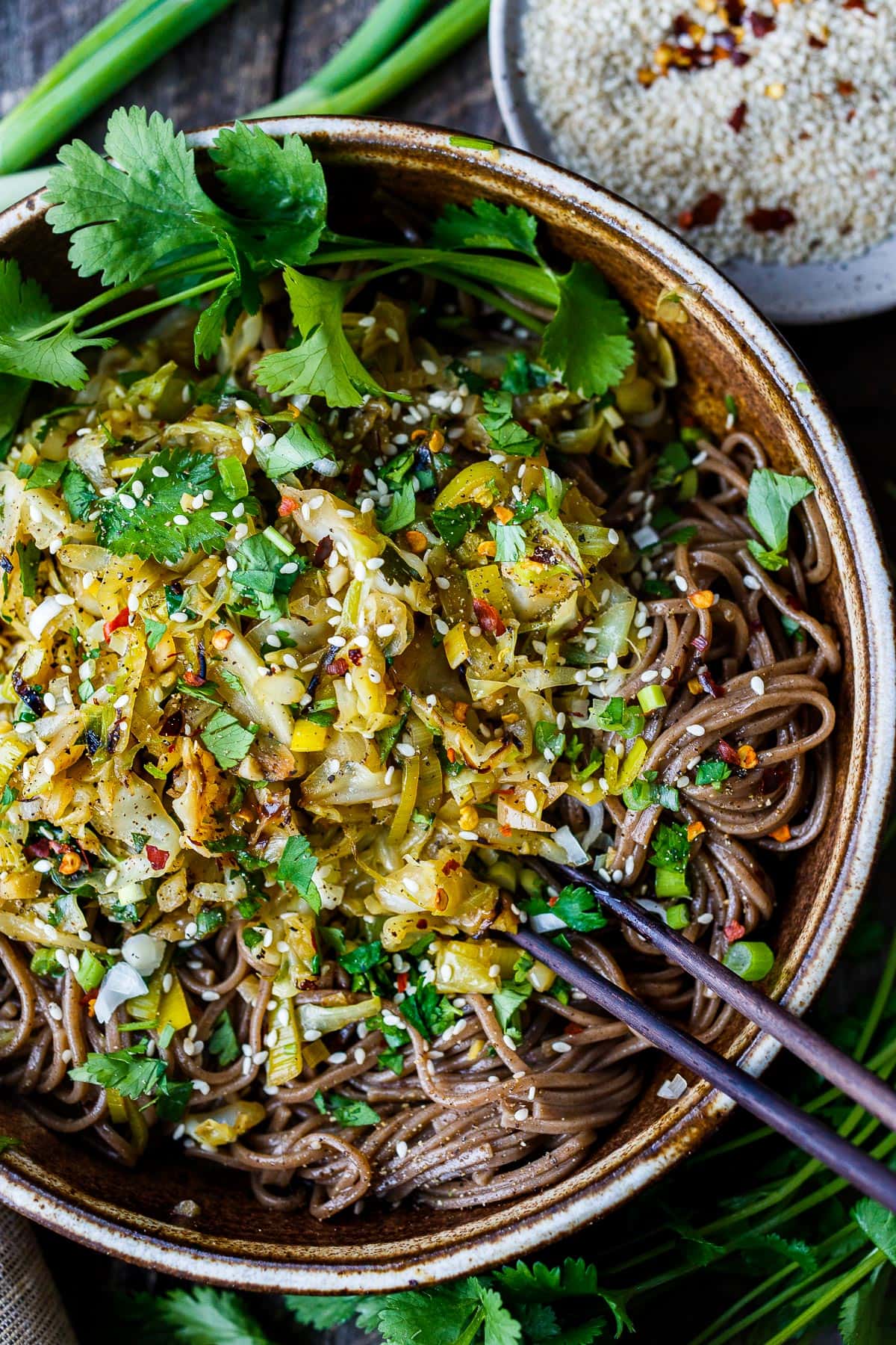 This quick and easy cabbage stir-fry is humble but packed with savory flavor.  Packed with amazing health benefits, cabbage takes center stage here, turning into a delicious side dish or a perfect topping for rice or buckwheat soba noodles.  Ready to serve in about 30 minutes!