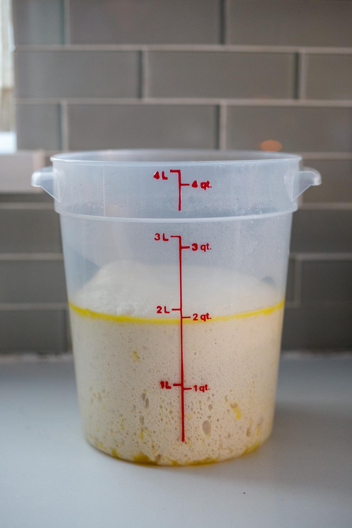 The pizza dough, doubled in size in same consenter. 