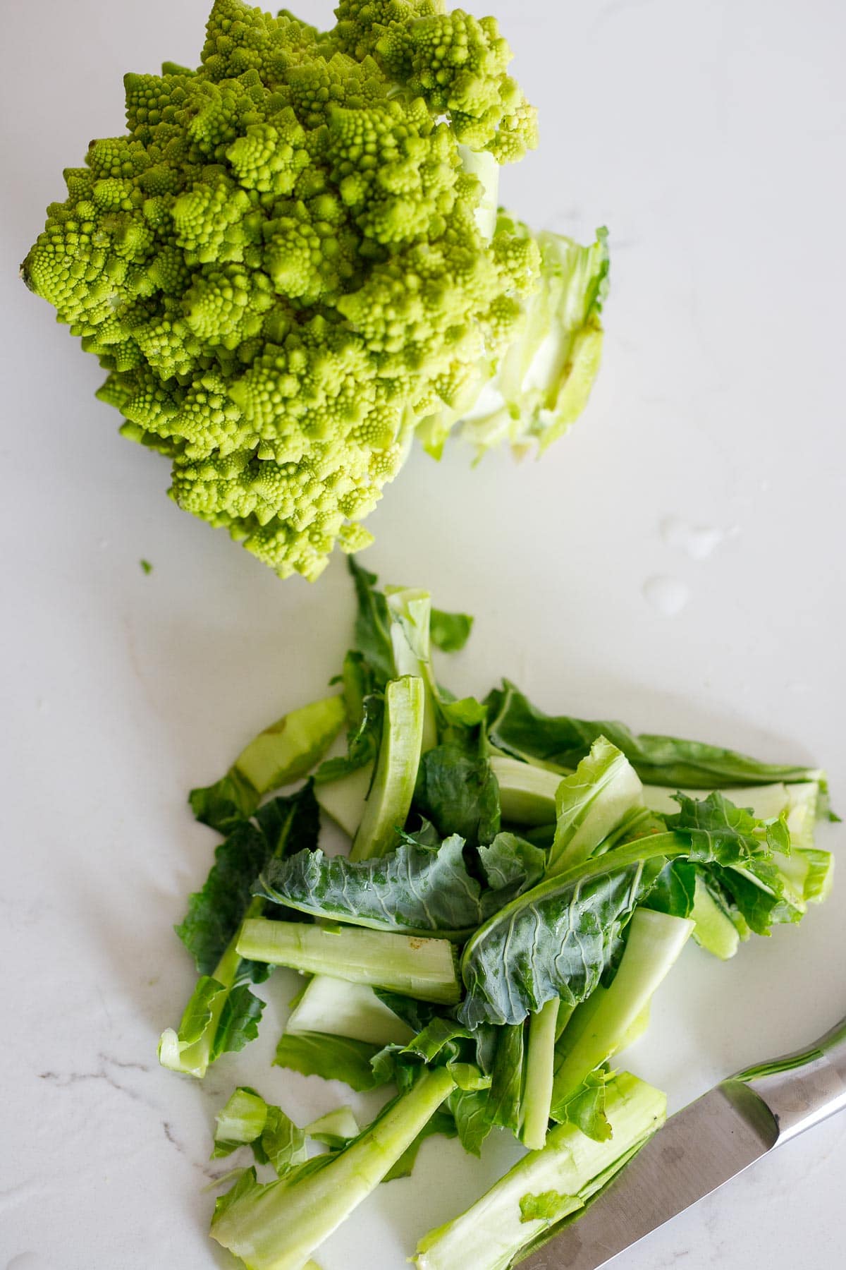 Prepping romanesco. 