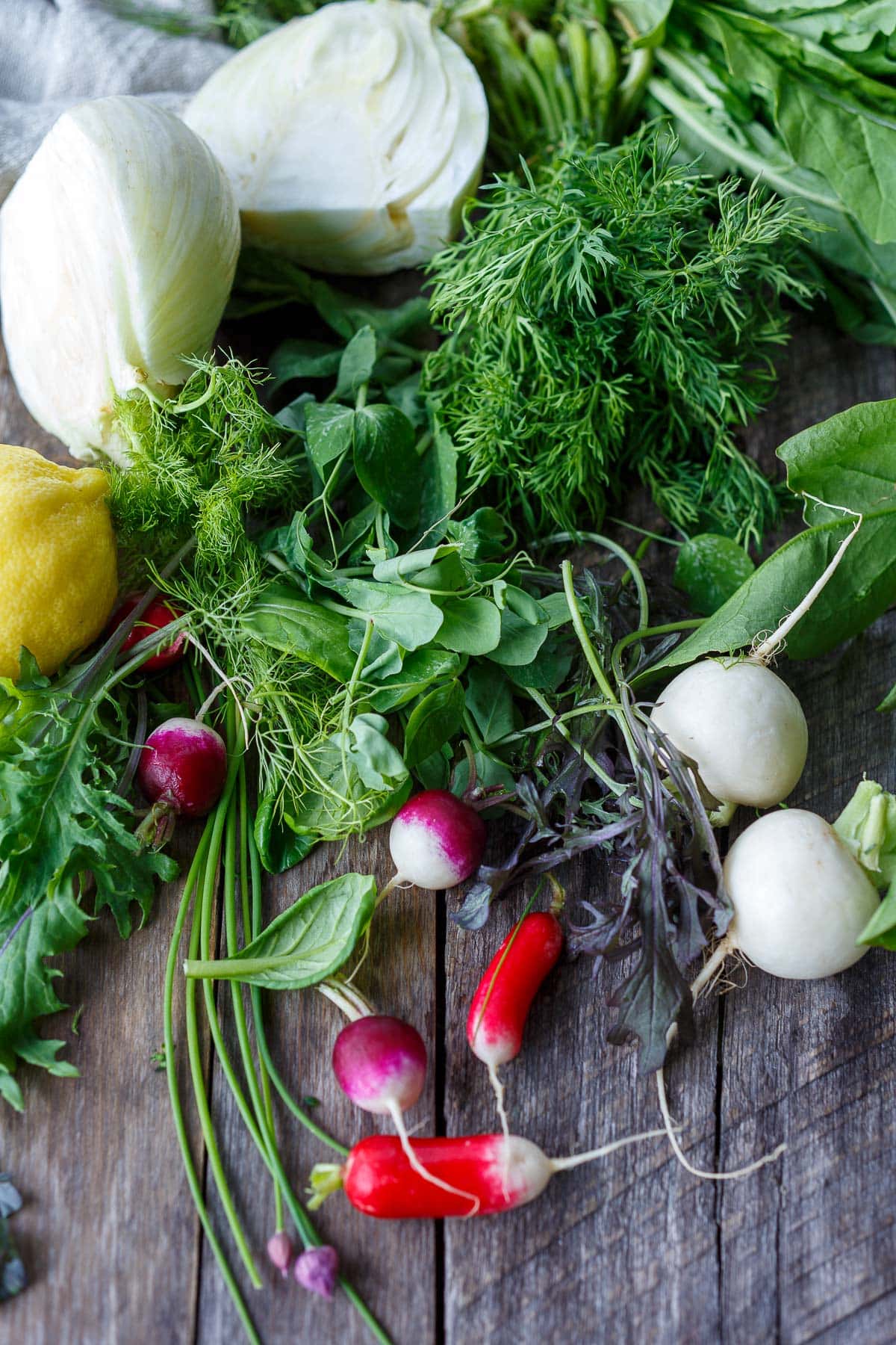 ingredients in a spring salad -radishes, fennel, lemon and greens.