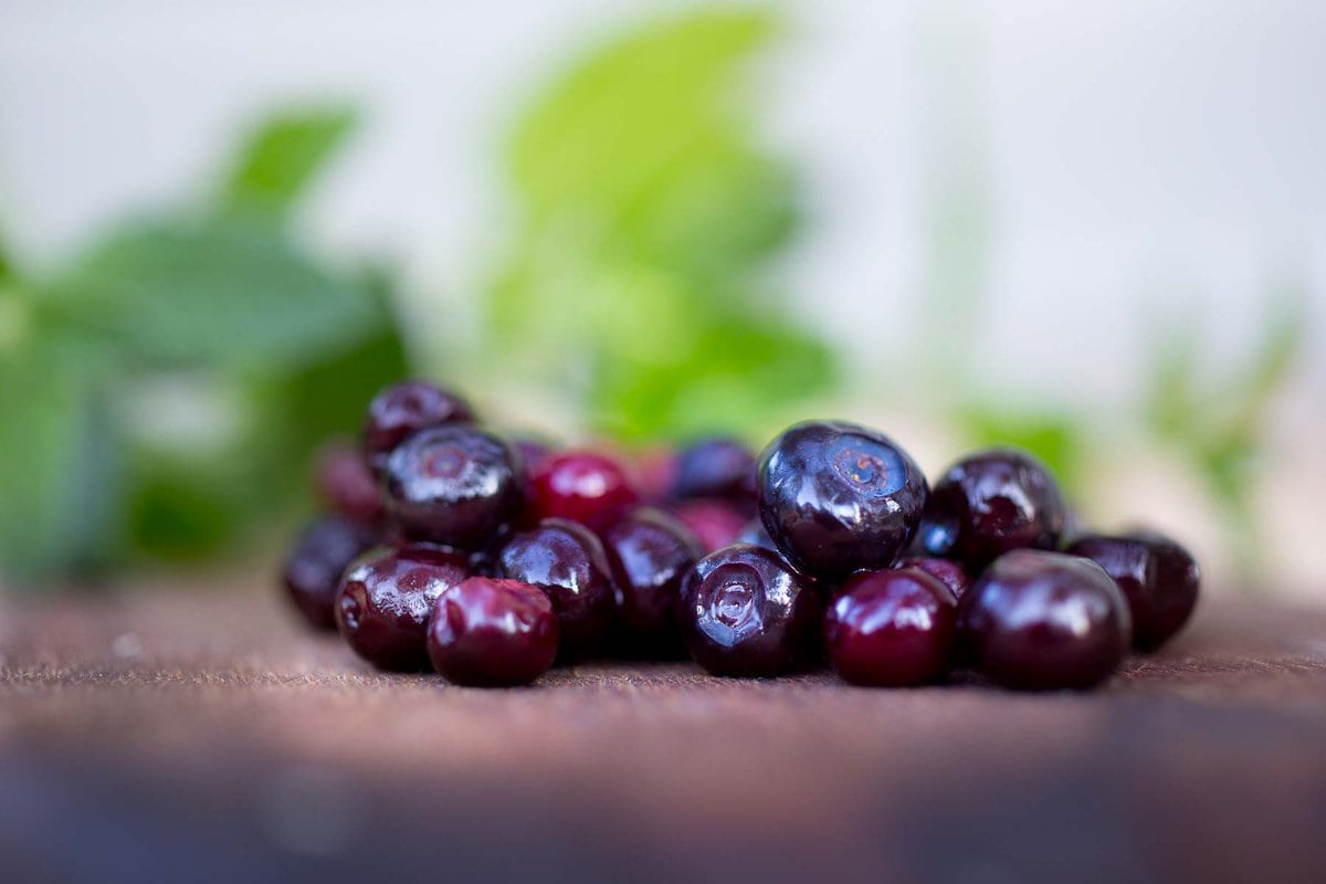 fresh huckleberries