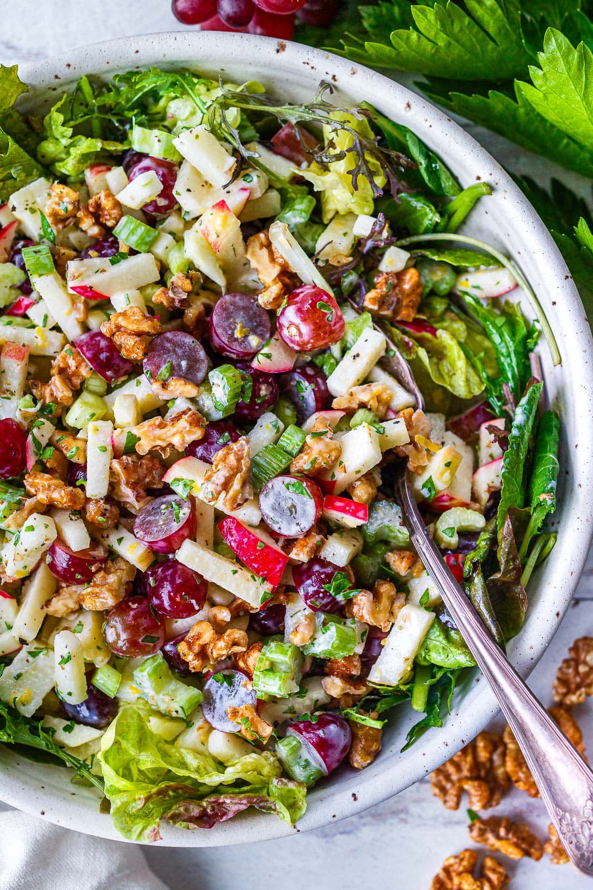 An updated lively version of the classic Waldorf Salad recipe combining the crisp sweetness of apples and grapes with the crunch of celery and walnuts, all tossed in a creamy Greek yogurt dressing for a refreshing and satisfying salad!
