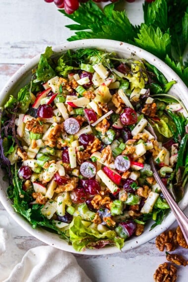 An updated, lively version of the classic Waldorf Salad recipe combining the crisp sweetness of apples and grapes with the crunch of celery and walnuts, all tossed in a creamy Greek yogurt dressing for a refreshing and satisfying salad!