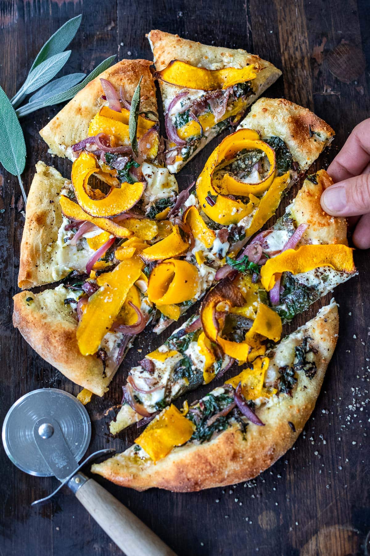 A delicious fall-inspired pizza topped with butternut squash ribbons, sage, caramelized onions, swiss chard and burrata cheese. Cozy fall flavors make the perfect bite! 