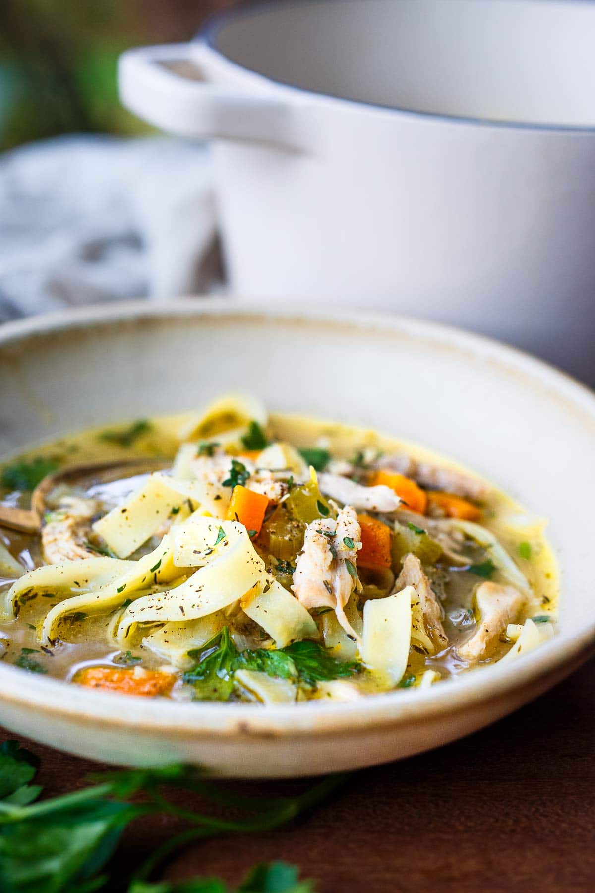 Chicken Noodle soup in a bowl next to a pot. 