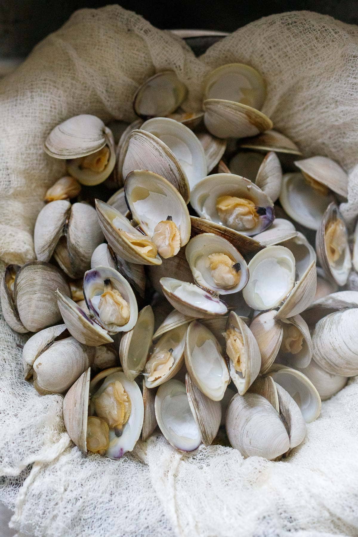 pile of cooked clams on cheesecloth